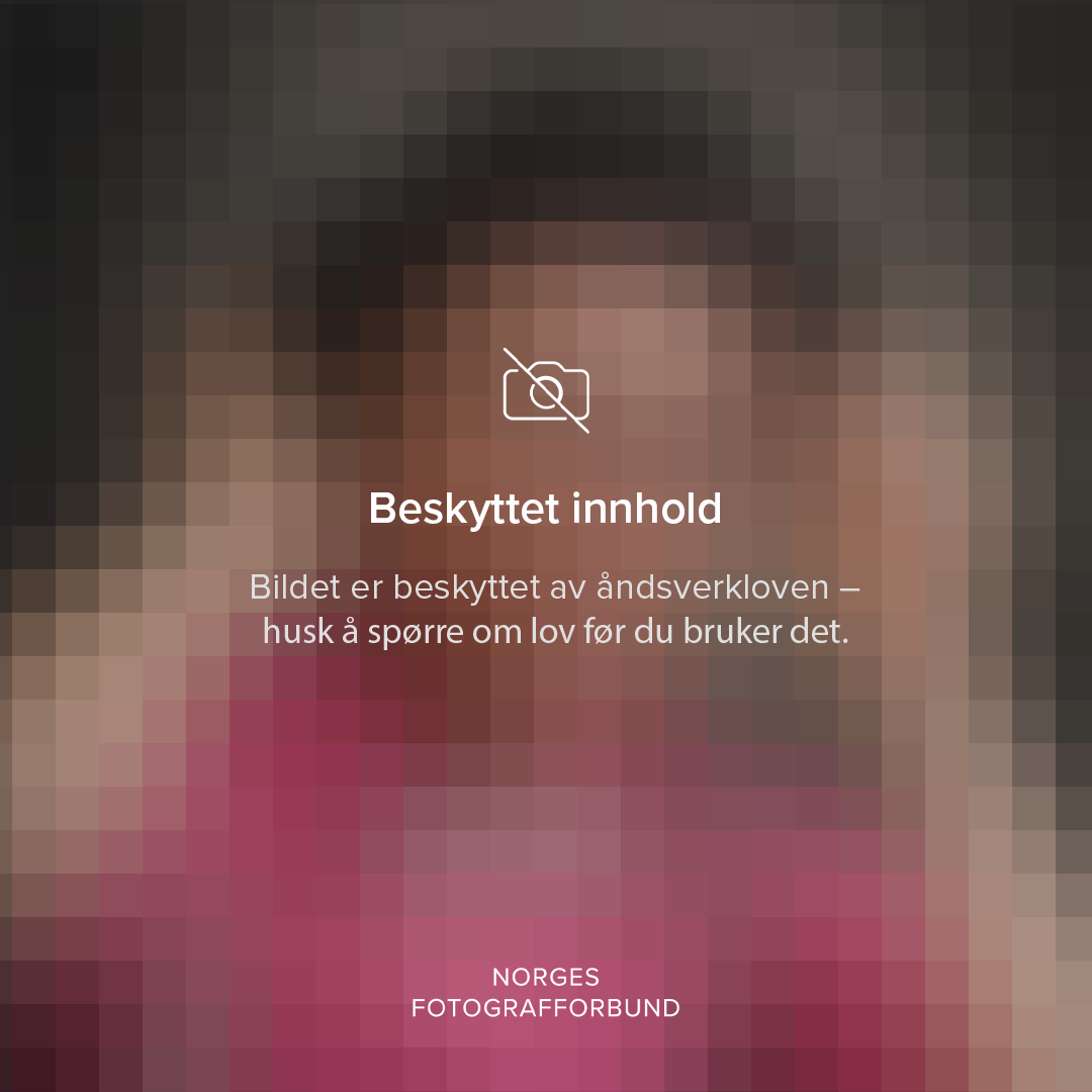 Bildet er beskyttet av åndsverkloven – husk å spørre om lov før du bruker det.