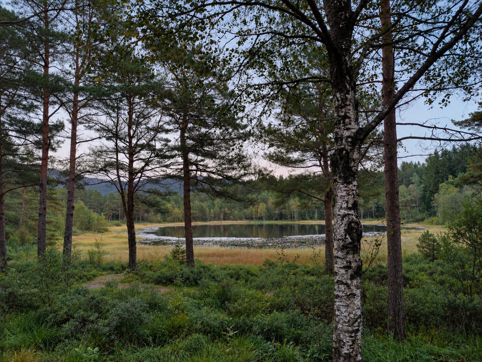 Foto: Alexander Enoksen